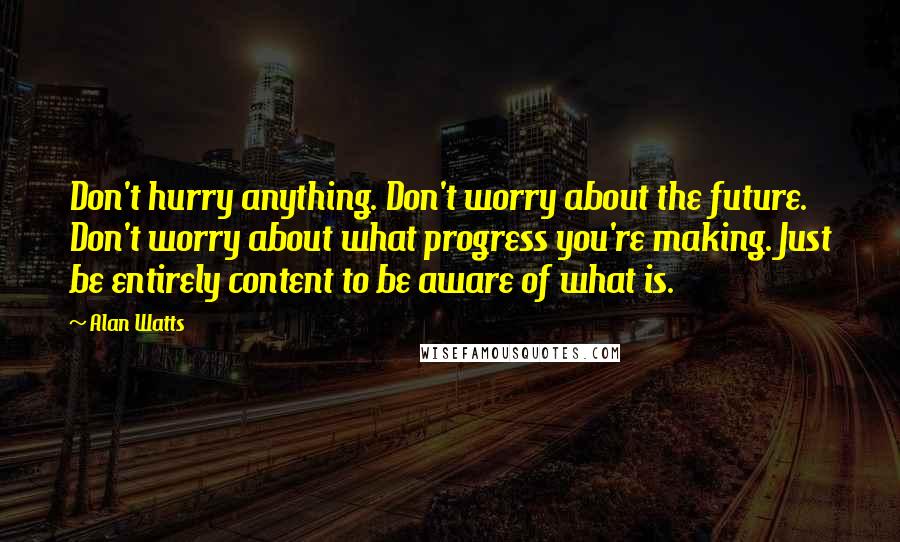 Alan Watts Quotes: Don't hurry anything. Don't worry about the future. Don't worry about what progress you're making. Just be entirely content to be aware of what is.