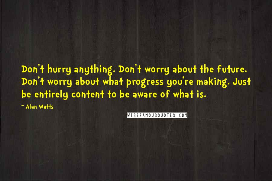 Alan Watts Quotes: Don't hurry anything. Don't worry about the future. Don't worry about what progress you're making. Just be entirely content to be aware of what is.