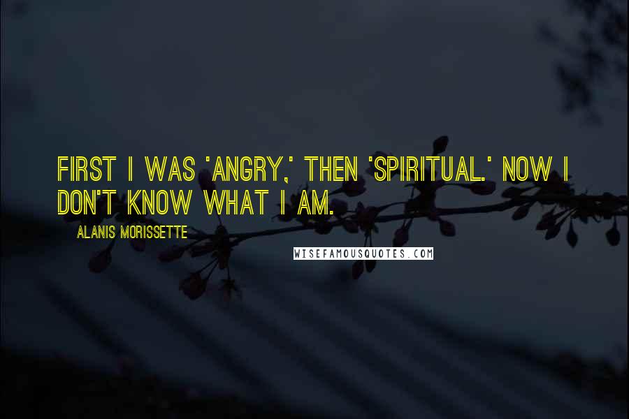 Alanis Morissette Quotes: First I was 'angry,' then 'spiritual.' Now I don't know what I am.