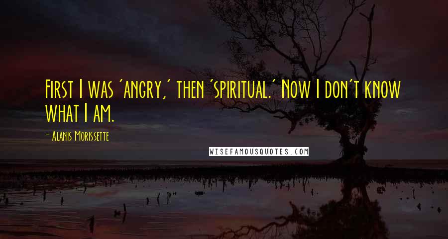 Alanis Morissette Quotes: First I was 'angry,' then 'spiritual.' Now I don't know what I am.