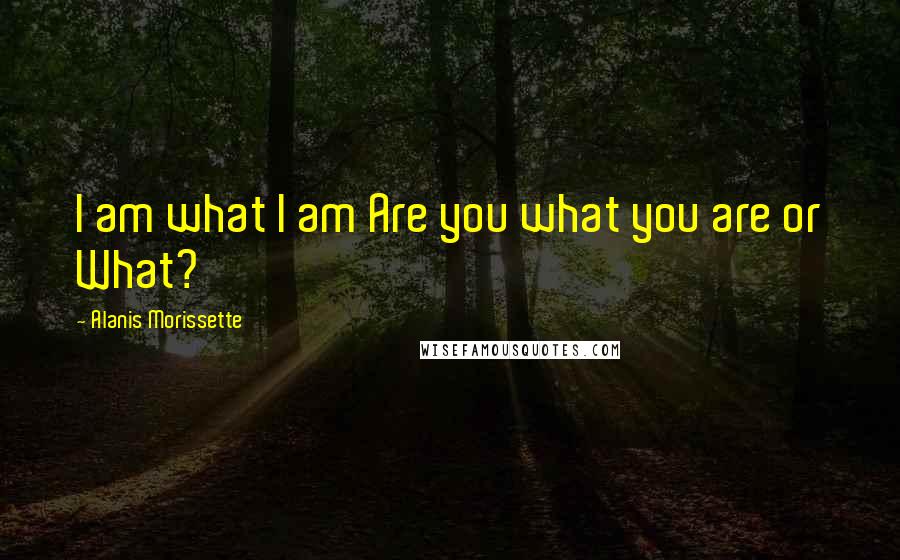 Alanis Morissette Quotes: I am what I am Are you what you are or What?