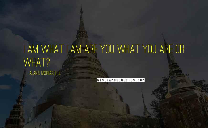 Alanis Morissette Quotes: I am what I am Are you what you are or What?