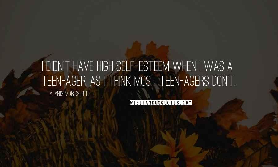 Alanis Morissette Quotes: I didn't have high self-esteem when I was a teen-ager, as I think most teen-agers don't.