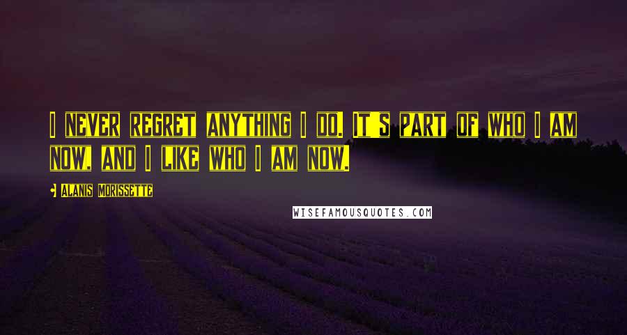 Alanis Morissette Quotes: I never regret anything I do. It's part of who I am now, and I like who I am now.