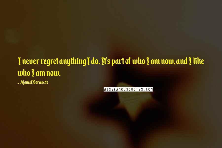 Alanis Morissette Quotes: I never regret anything I do. It's part of who I am now, and I like who I am now.