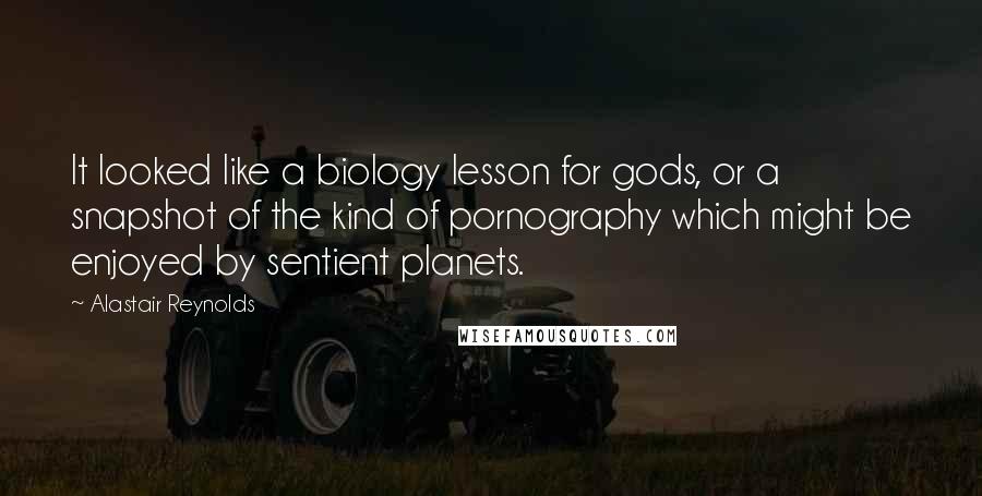 Alastair Reynolds Quotes: It looked like a biology lesson for gods, or a snapshot of the kind of pornography which might be enjoyed by sentient planets.