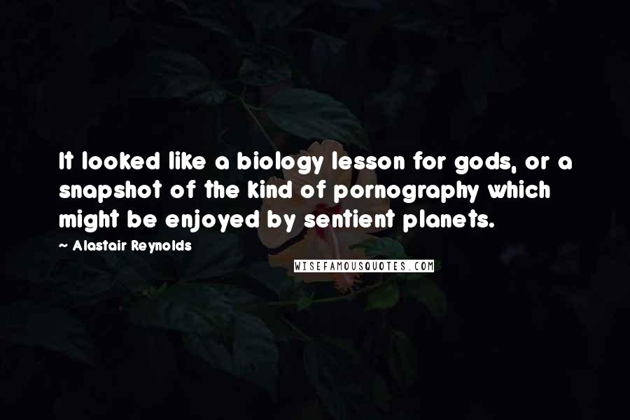 Alastair Reynolds Quotes: It looked like a biology lesson for gods, or a snapshot of the kind of pornography which might be enjoyed by sentient planets.