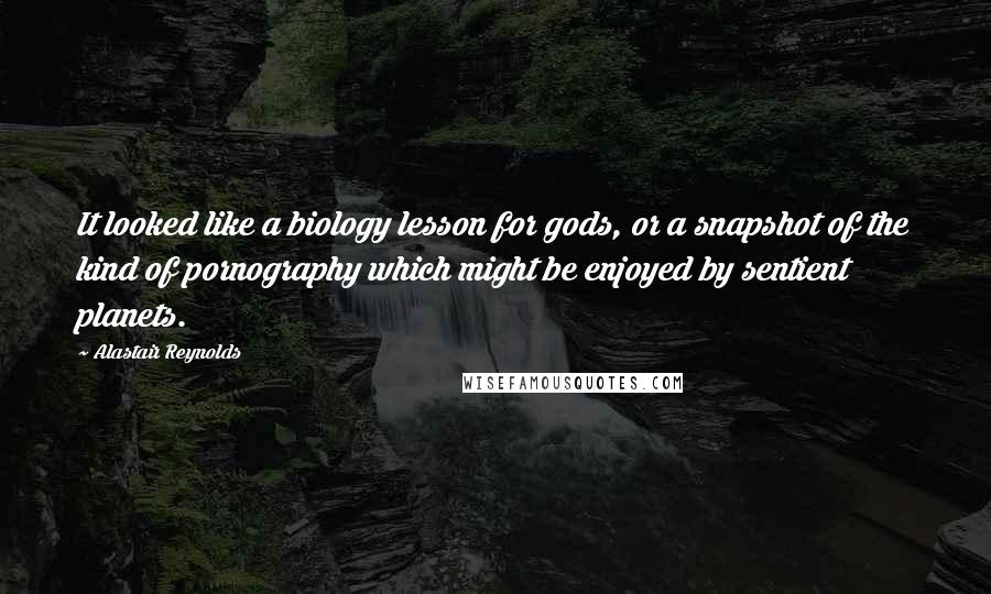 Alastair Reynolds Quotes: It looked like a biology lesson for gods, or a snapshot of the kind of pornography which might be enjoyed by sentient planets.