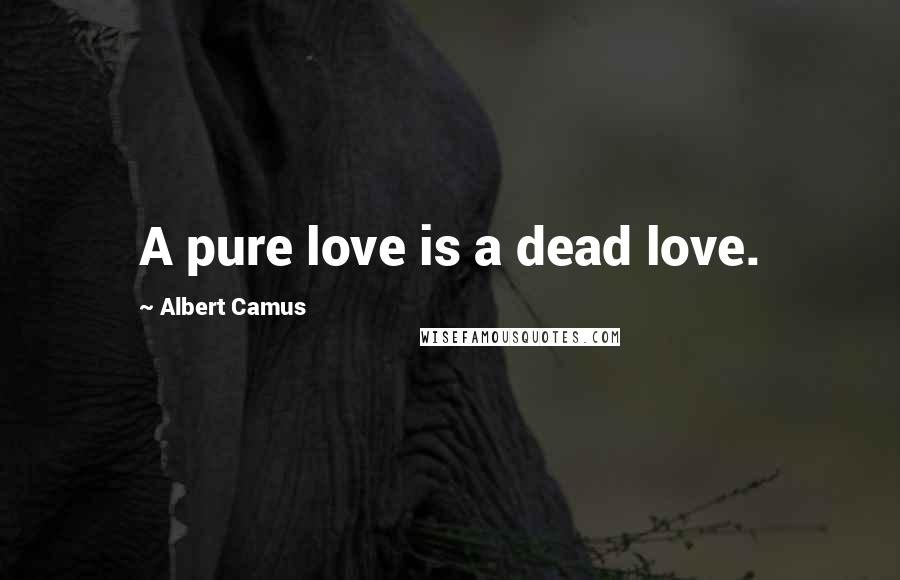 Albert Camus Quotes: A pure love is a dead love.