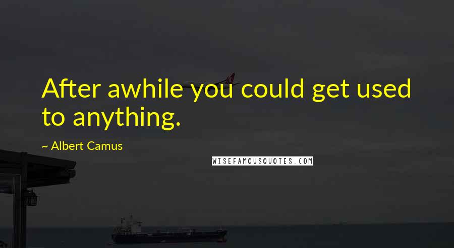 Albert Camus Quotes: After awhile you could get used to anything.