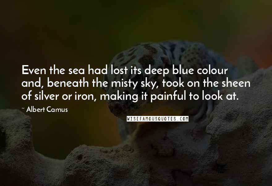 Albert Camus Quotes: Even the sea had lost its deep blue colour and, beneath the misty sky, took on the sheen of silver or iron, making it painful to look at.