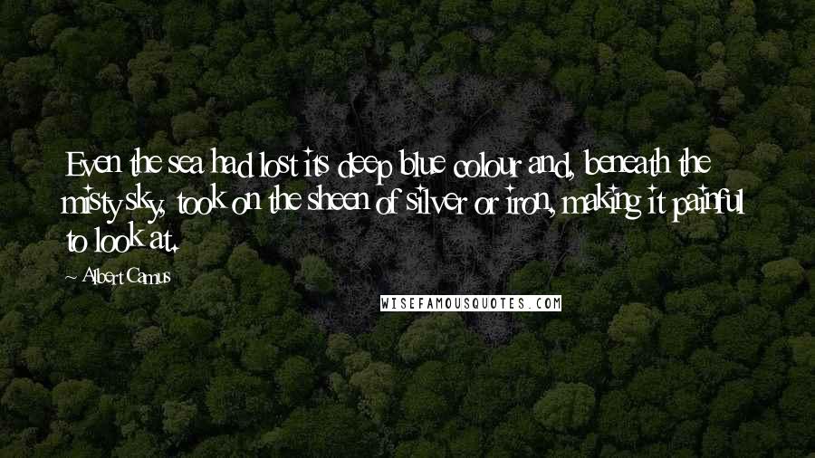 Albert Camus Quotes: Even the sea had lost its deep blue colour and, beneath the misty sky, took on the sheen of silver or iron, making it painful to look at.