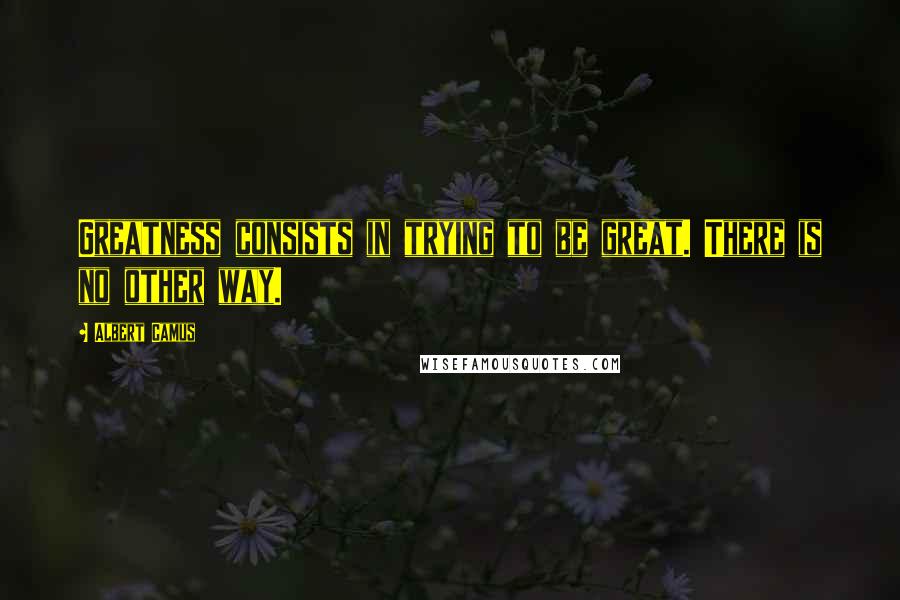 Albert Camus Quotes: Greatness consists in trying to be great. There is no other way.