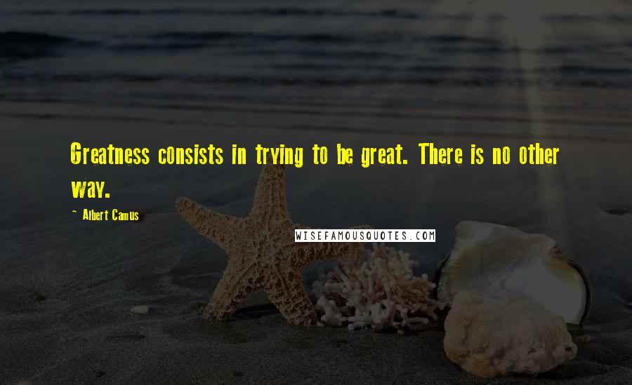 Albert Camus Quotes: Greatness consists in trying to be great. There is no other way.