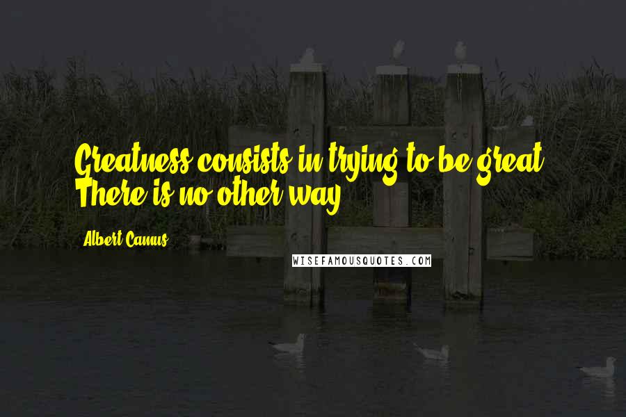 Albert Camus Quotes: Greatness consists in trying to be great. There is no other way.