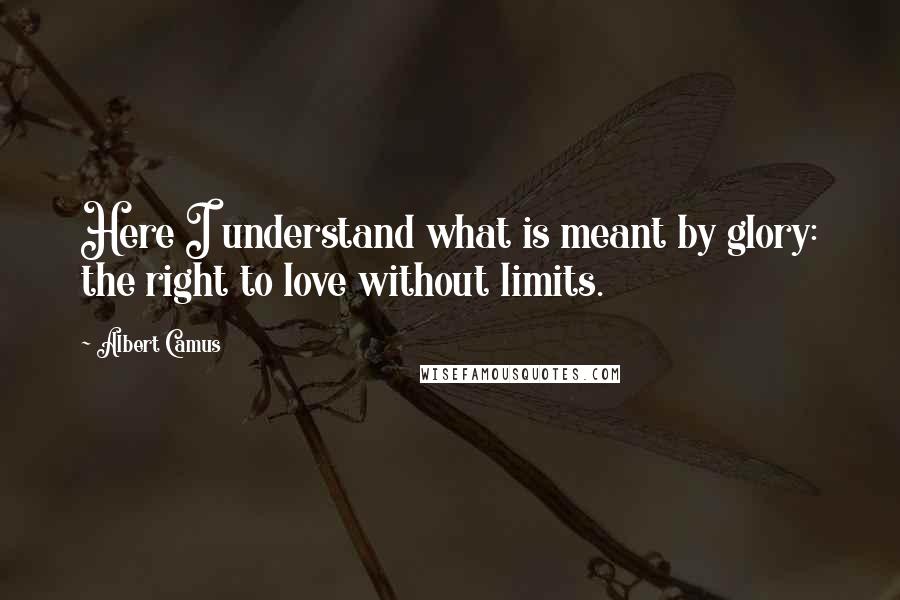 Albert Camus Quotes: Here I understand what is meant by glory: the right to love without limits.