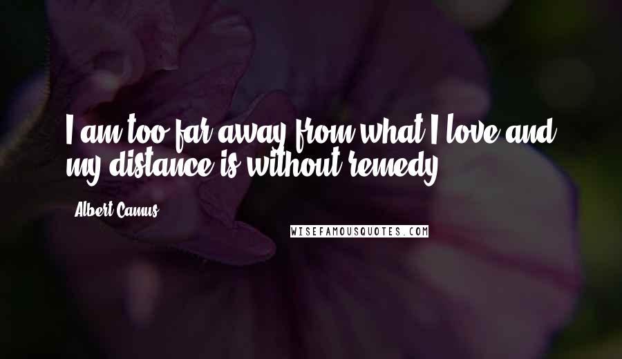 Albert Camus Quotes: I am too far away from what I love and my distance is without remedy.