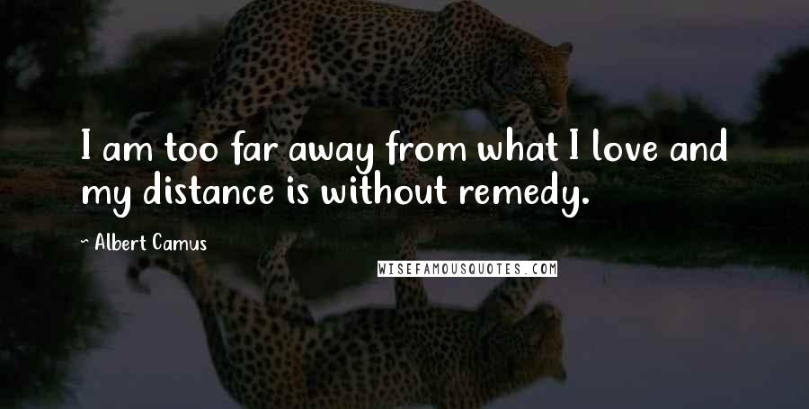 Albert Camus Quotes: I am too far away from what I love and my distance is without remedy.