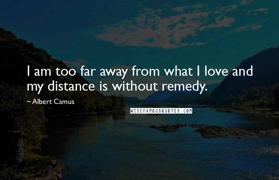 Albert Camus Quotes: I am too far away from what I love and my distance is without remedy.