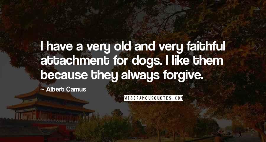 Albert Camus Quotes: I have a very old and very faithful attachment for dogs. I like them because they always forgive.