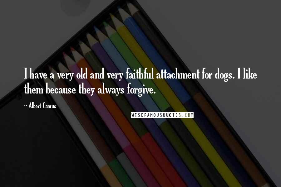Albert Camus Quotes: I have a very old and very faithful attachment for dogs. I like them because they always forgive.