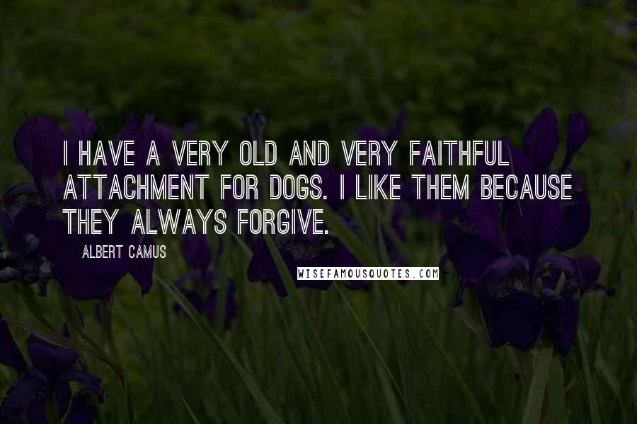 Albert Camus Quotes: I have a very old and very faithful attachment for dogs. I like them because they always forgive.