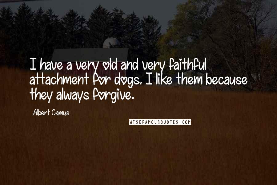 Albert Camus Quotes: I have a very old and very faithful attachment for dogs. I like them because they always forgive.
