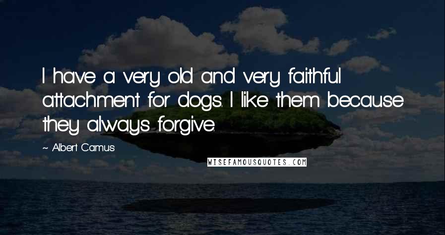 Albert Camus Quotes: I have a very old and very faithful attachment for dogs. I like them because they always forgive.