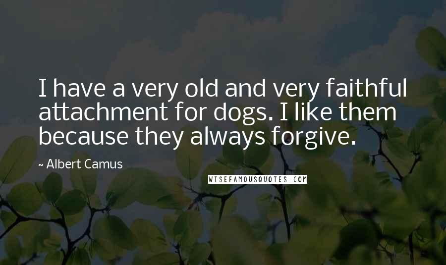 Albert Camus Quotes: I have a very old and very faithful attachment for dogs. I like them because they always forgive.