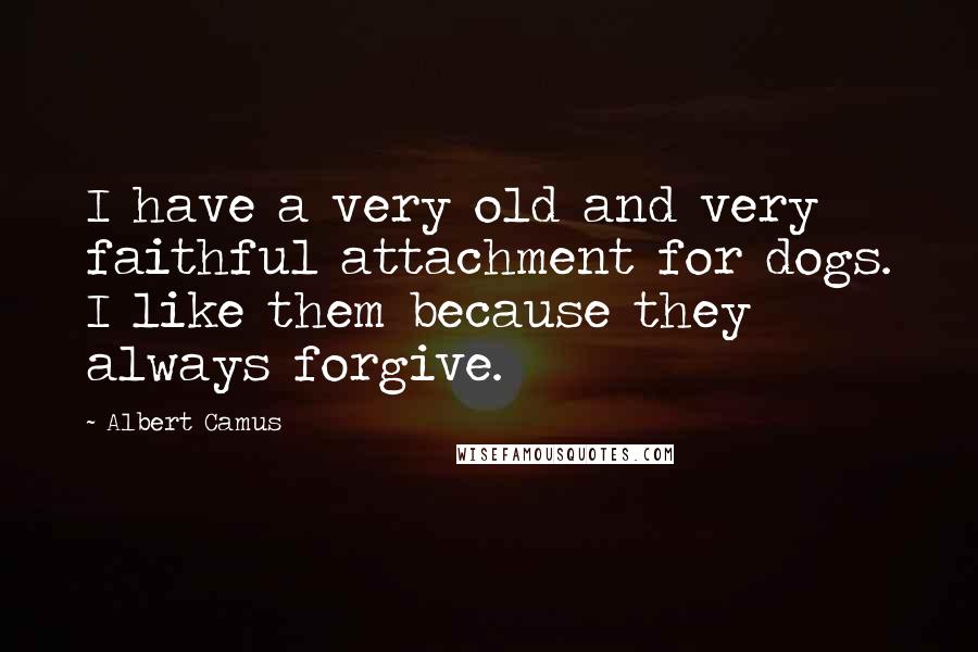 Albert Camus Quotes: I have a very old and very faithful attachment for dogs. I like them because they always forgive.