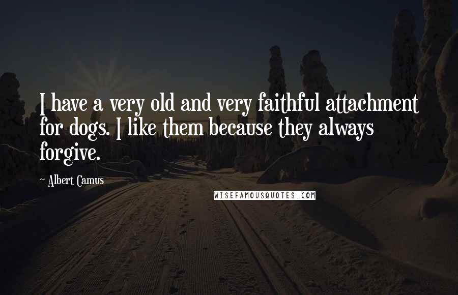 Albert Camus Quotes: I have a very old and very faithful attachment for dogs. I like them because they always forgive.