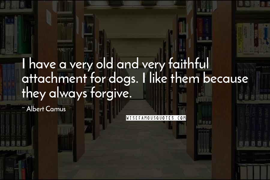 Albert Camus Quotes: I have a very old and very faithful attachment for dogs. I like them because they always forgive.