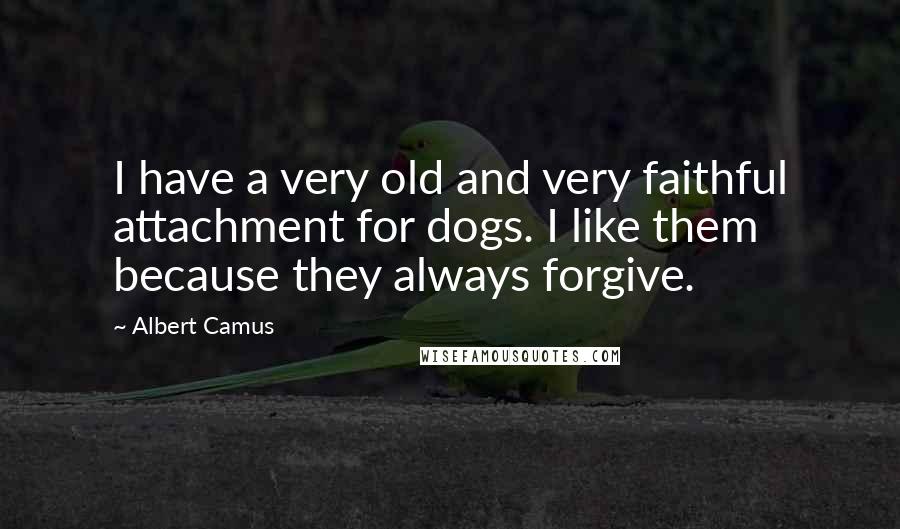 Albert Camus Quotes: I have a very old and very faithful attachment for dogs. I like them because they always forgive.