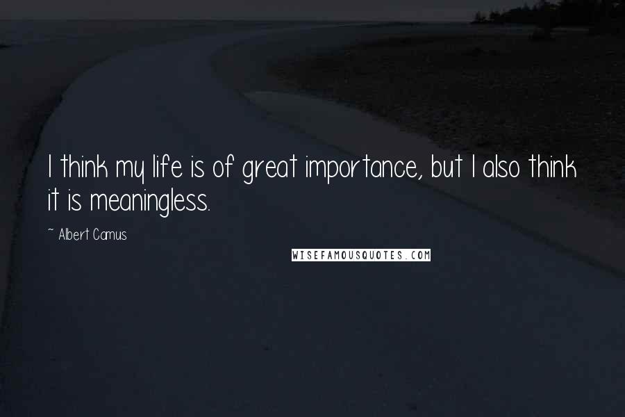 Albert Camus Quotes: I think my life is of great importance, but I also think it is meaningless.