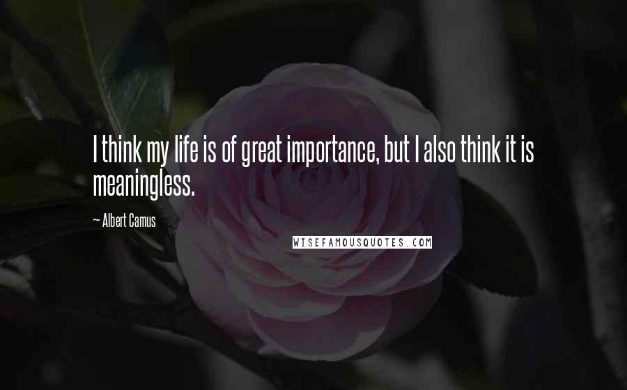 Albert Camus Quotes: I think my life is of great importance, but I also think it is meaningless.