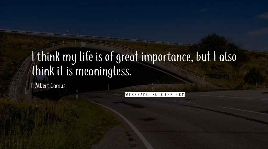 Albert Camus Quotes: I think my life is of great importance, but I also think it is meaningless.