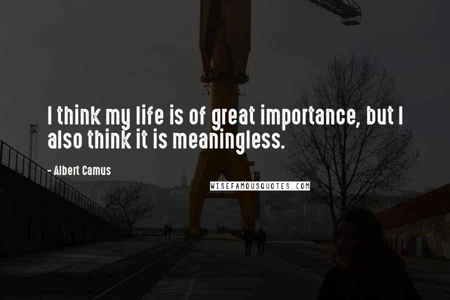 Albert Camus Quotes: I think my life is of great importance, but I also think it is meaningless.