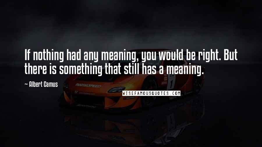 Albert Camus Quotes: If nothing had any meaning, you would be right. But there is something that still has a meaning.