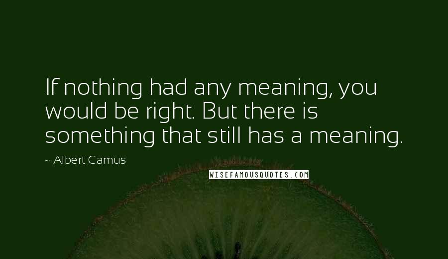 Albert Camus Quotes: If nothing had any meaning, you would be right. But there is something that still has a meaning.