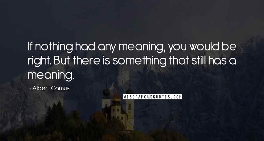 Albert Camus Quotes: If nothing had any meaning, you would be right. But there is something that still has a meaning.