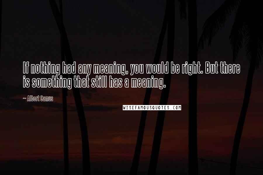 Albert Camus Quotes: If nothing had any meaning, you would be right. But there is something that still has a meaning.