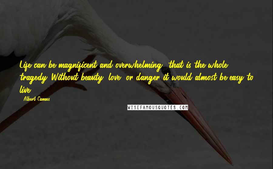 Albert Camus Quotes: Life can be magnificent and overwhelming  that is the whole tragedy. Without beauty, love, or danger it would almost be easy to live.