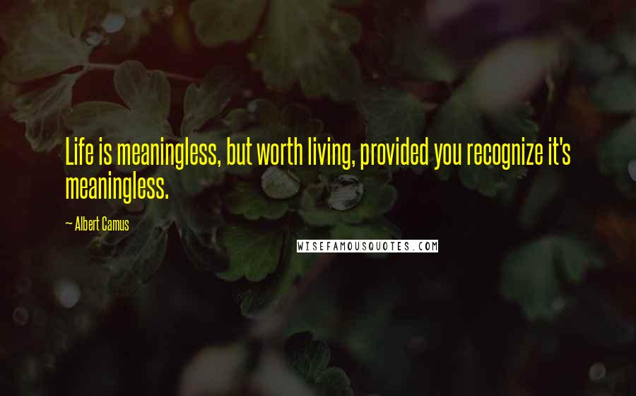 Albert Camus Quotes: Life is meaningless, but worth living, provided you recognize it's meaningless.