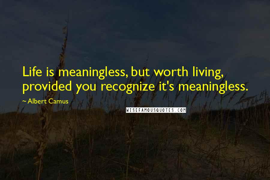 Albert Camus Quotes: Life is meaningless, but worth living, provided you recognize it's meaningless.