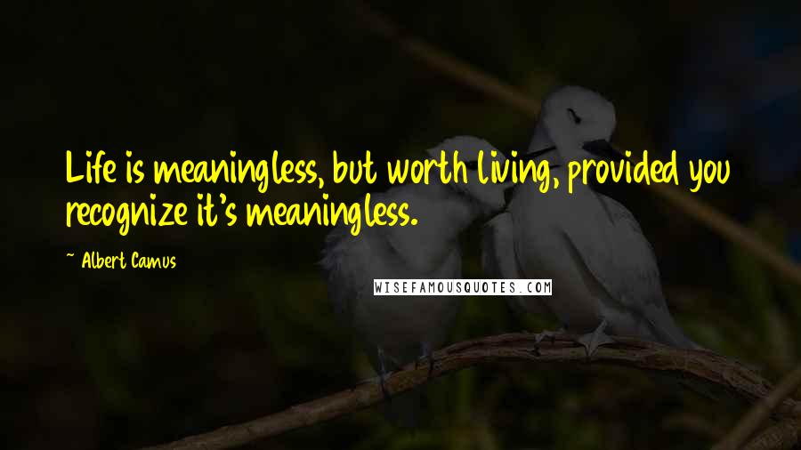 Albert Camus Quotes: Life is meaningless, but worth living, provided you recognize it's meaningless.