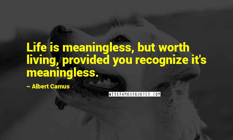 Albert Camus Quotes: Life is meaningless, but worth living, provided you recognize it's meaningless.