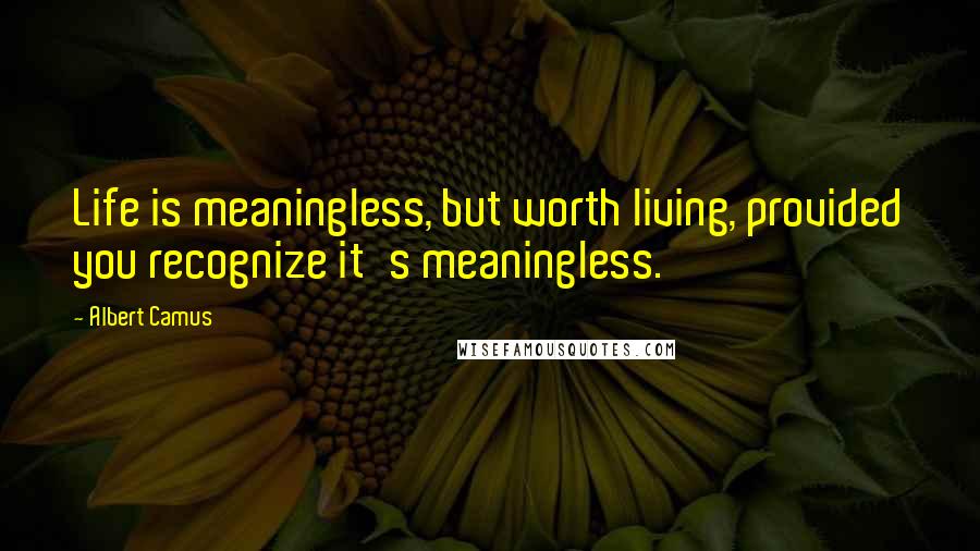 Albert Camus Quotes: Life is meaningless, but worth living, provided you recognize it's meaningless.