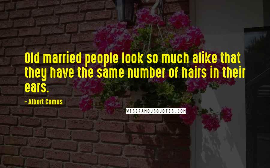 Albert Camus Quotes: Old married people look so much alike that they have the same number of hairs in their ears.