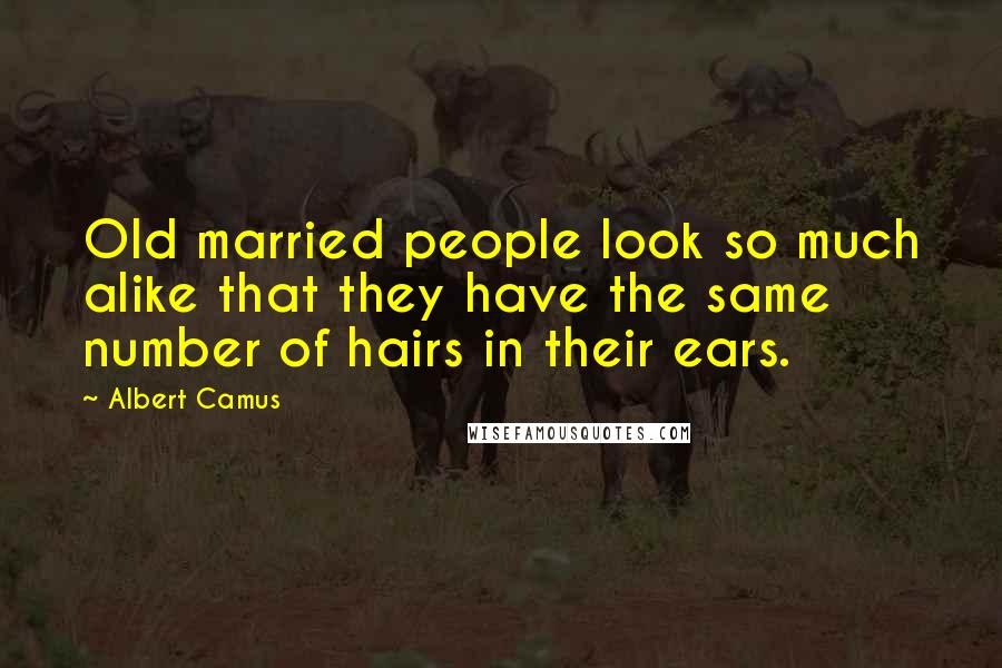 Albert Camus Quotes: Old married people look so much alike that they have the same number of hairs in their ears.