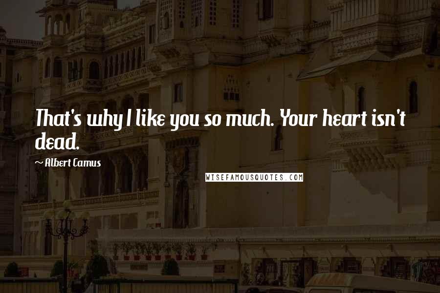 Albert Camus Quotes: That's why I like you so much. Your heart isn't dead.